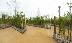 生态旅游景区道路 生态素土路面，翻新频率是多少？环保性怎么样？