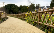 景区做的生态素土路面，美观性到底咋样？