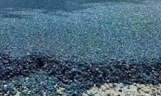 城市绿道 用沙基透水沥青，材料单价贵不贵？性价比超普通沥青？