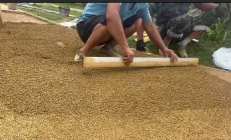 生态素土路面的耐候性咋样，南方高温天气能用吗？它的环保性到底过不过关？