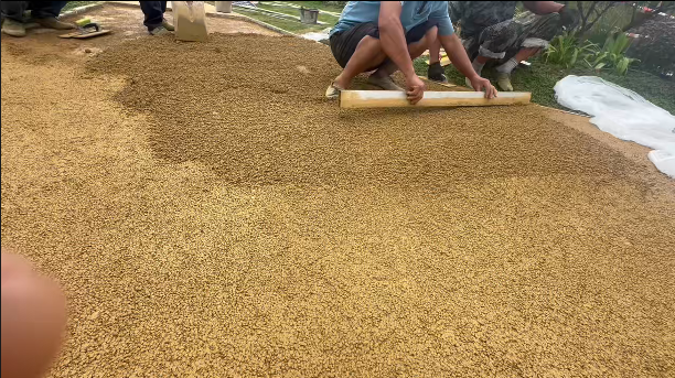 bc504a71-0885-42f5-b9cd-196d5a8b68d4.png bc504a71-0885-42f5-b9cd-196d5a8b68d4.png