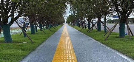 盲道1.png 盲道1.png