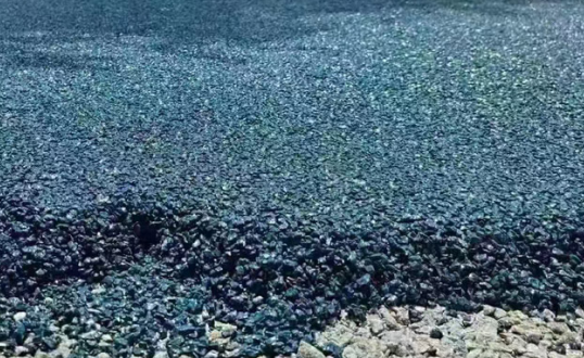 冷拌沥青7.png 冷拌沥青7.png