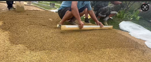 生态素土3.png 生态素土3.png